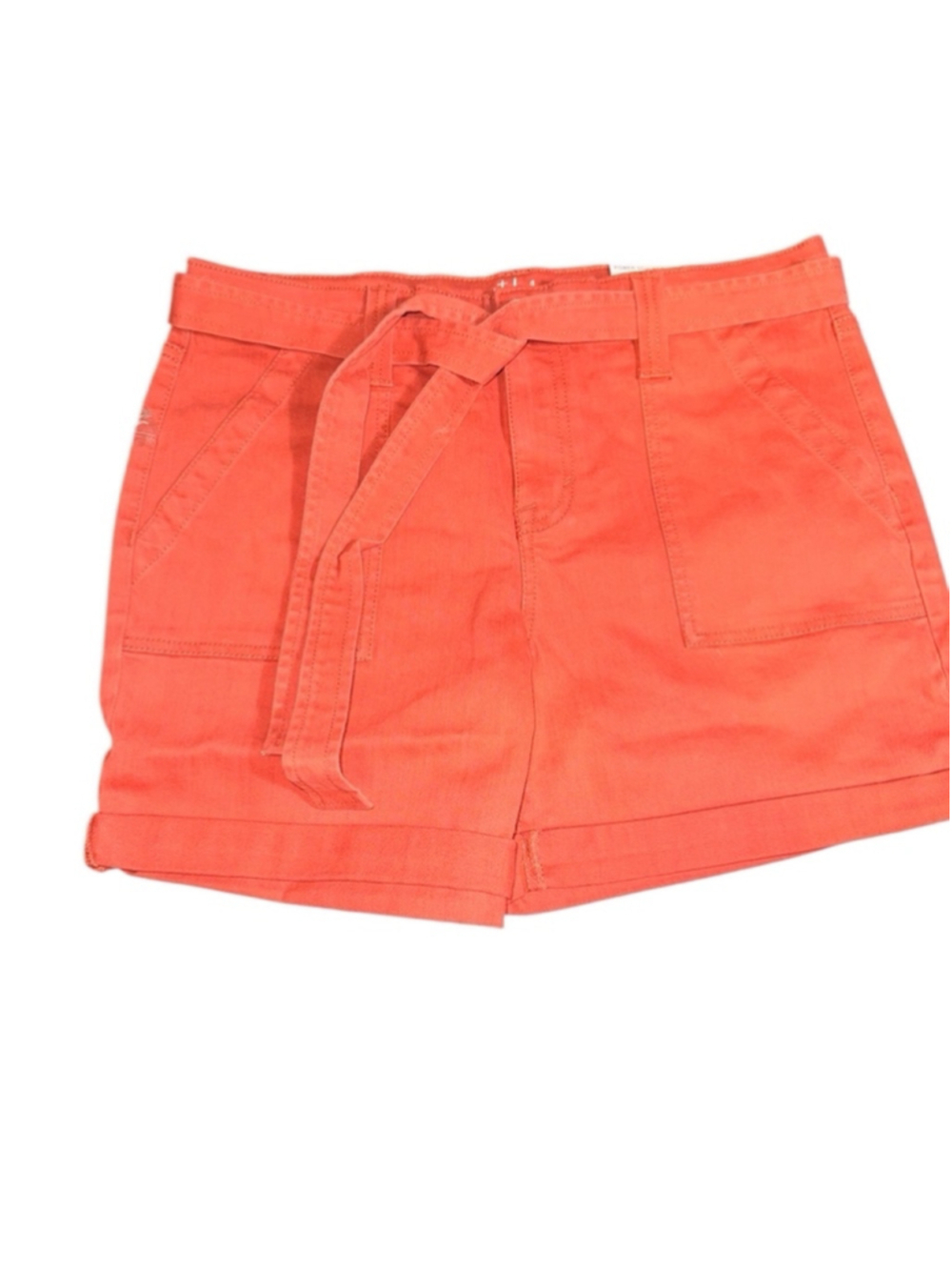 Women's Style & Co Shorts, Size 10, Brick Red